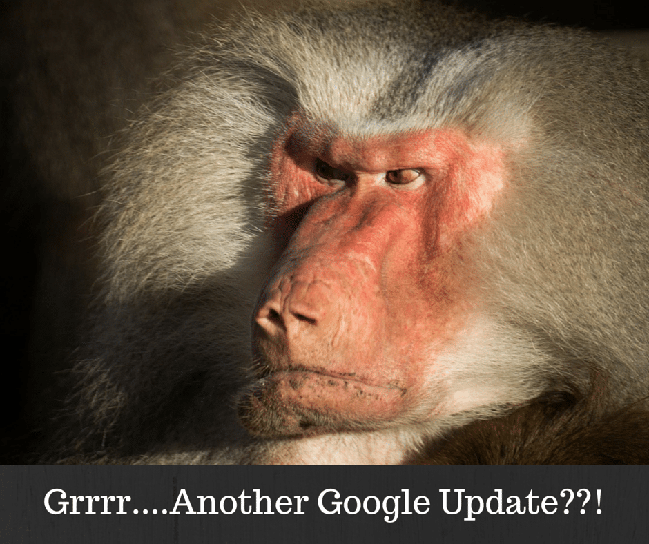 Google My Businss, local business SEO, 3 pack search results on Google