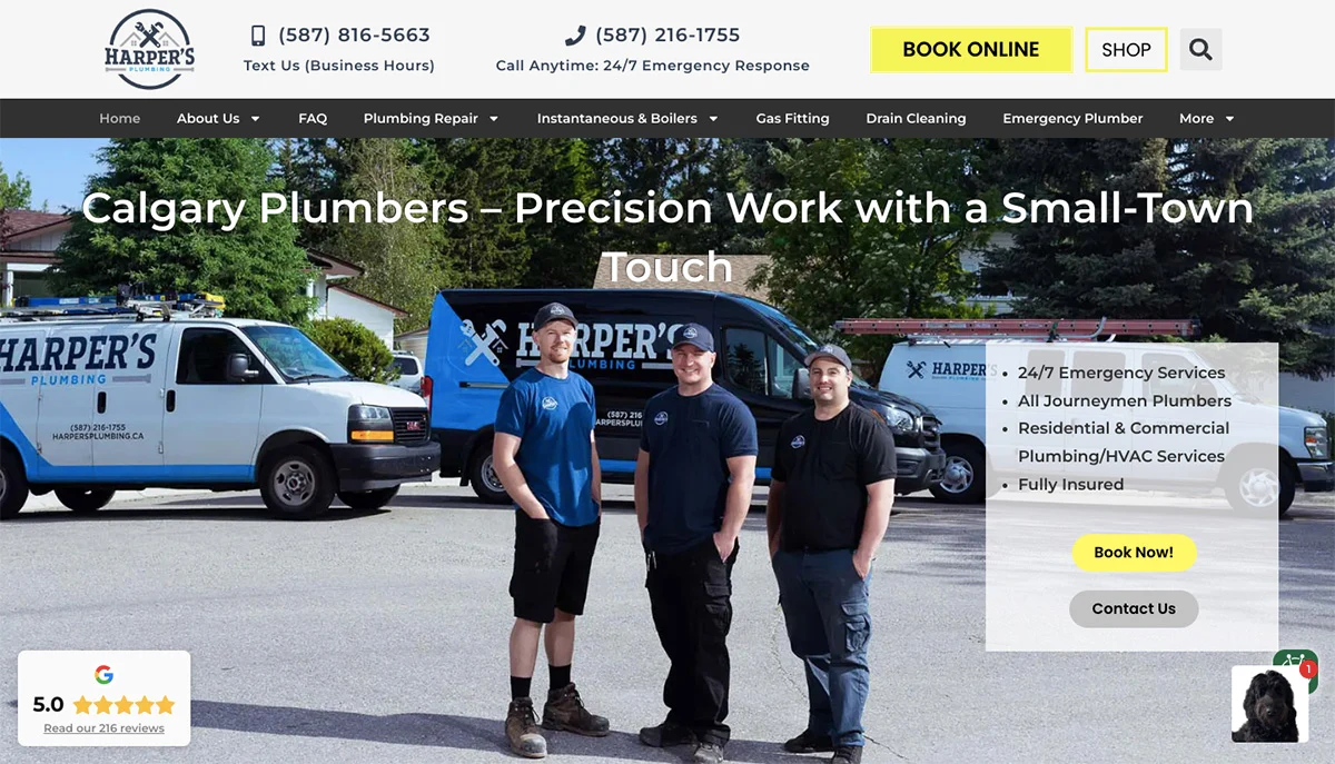 SEO for Plumbing Company Harpers Plumbing