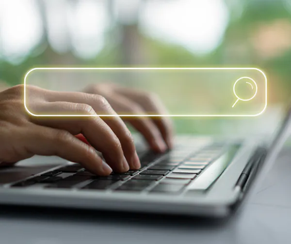 searching the internet